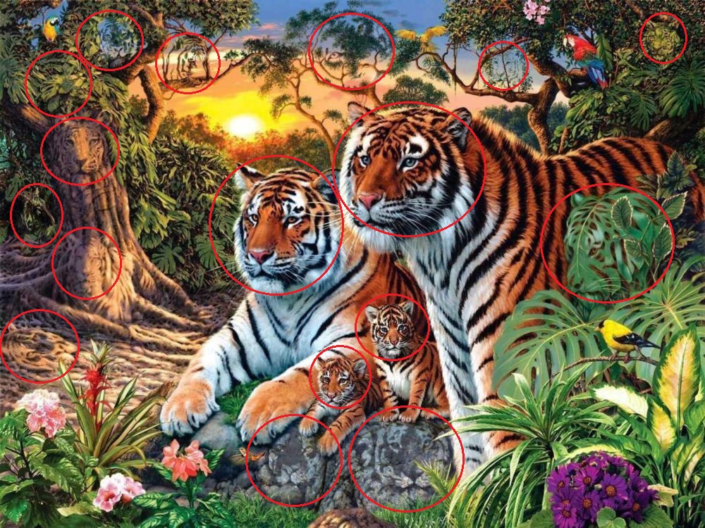 Иллюзия тигры